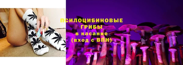 ПСИЛОЦИБИНОВЫЕ ГРИБЫ Богданович