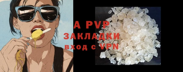 ПСИЛОЦИБИНОВЫЕ ГРИБЫ Богданович