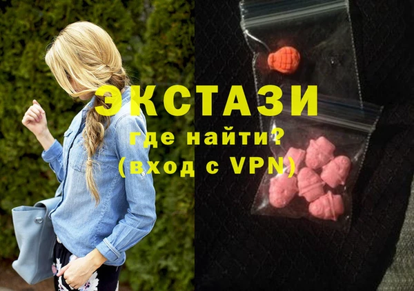 СК Богородицк