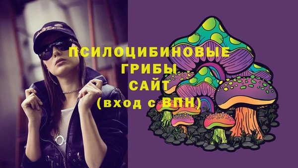 ПСИЛОЦИБИНОВЫЕ ГРИБЫ Богданович
