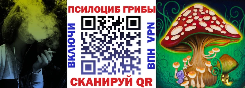 дарнет шоп  Десногорск  Псилоцибиновые грибы мухоморы 